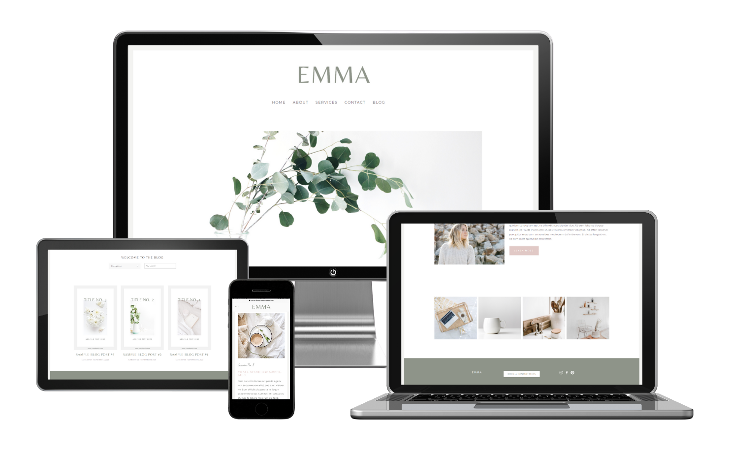 Multiple devices showing EMMA website